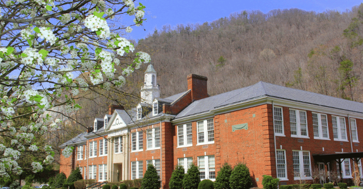What are law schools in Virginia?